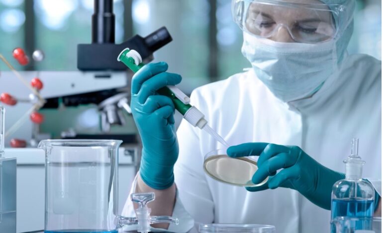  Investigadores desarrollan el corazón y el sistema vascular en modelos animales a partir de células madre.
