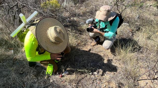 Se volvieron momias por el calor”: los desgarradores testimonios de los  voluntarios que recogen los cuerpos de los migrantes muertos en el desierto  de Sonora. - Canal 13 México
