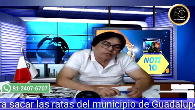 Aunque usted no lo crea: se necesita un flautista para sacar las ratas del municipio de Guadalupe, esta infestado de estos animales
