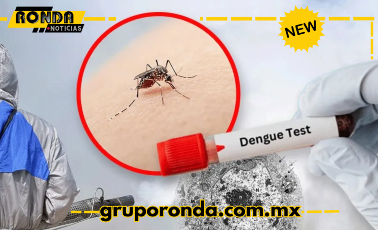  México registra 76 muertes por dengue; Morelos encabeza la lista con 13 decesos