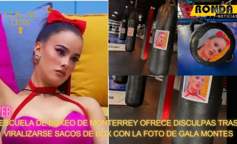 Escuela de boxeo de Monterrey ofrece disculpas tras viralizarse sacos de box con la foto de Gala Montes: «no apoyamos ningún tipo de violencia»
