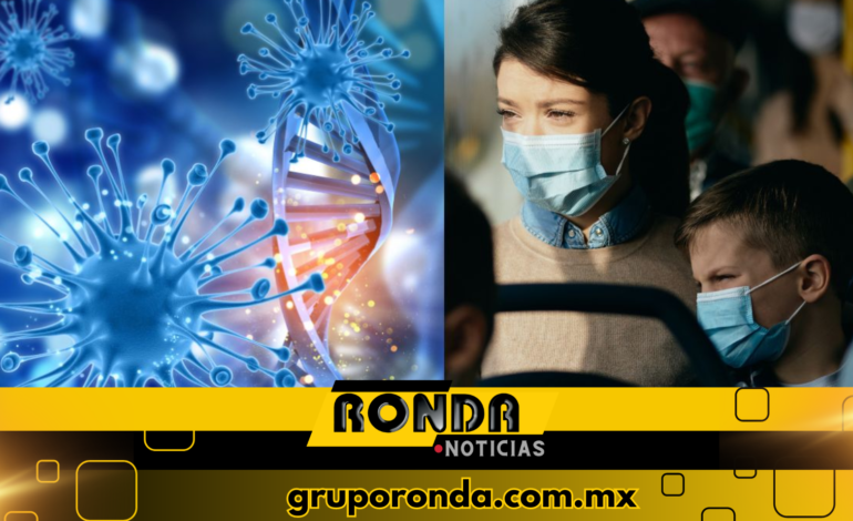 Conoce la forma en la que se contagia ‘Marburgo’, virus que amenazaría con una nueva pandemia.