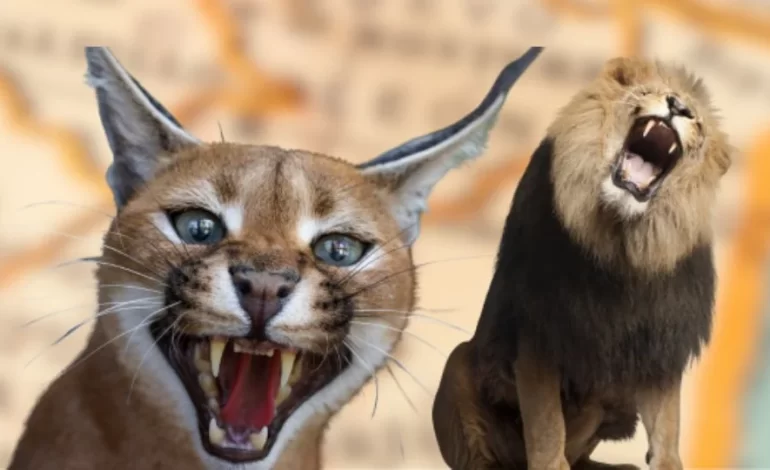 El tigre de Nuevo León y otros 5 animales salvajes que sorprendieron a México