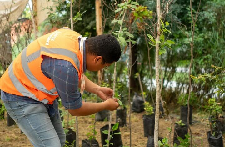 Por primera vez, Juárez crece sus árboles desde la semilla