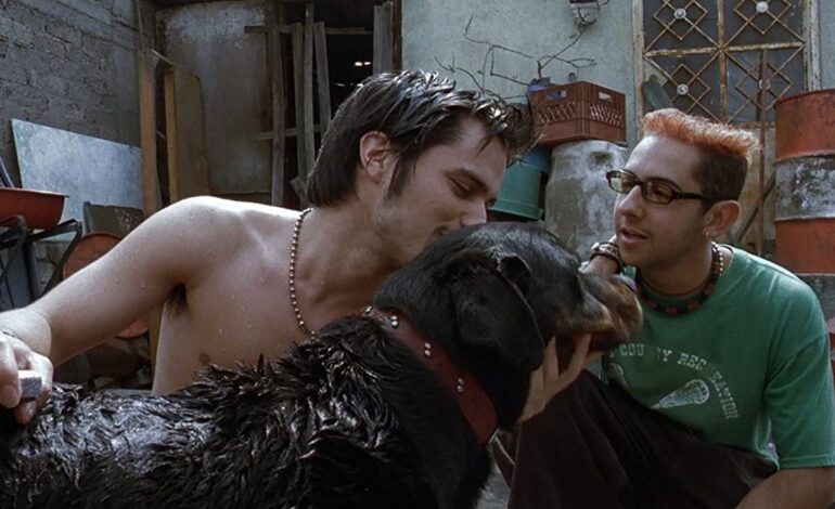  ‘Amores Perros’ regresa a cines mundiales con reestreno en 4K