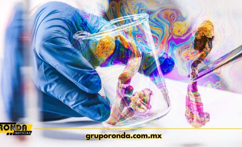  Dosis única de psilocibina proporciona alivio rápido de la depresión, según pequeño ensayo clínico