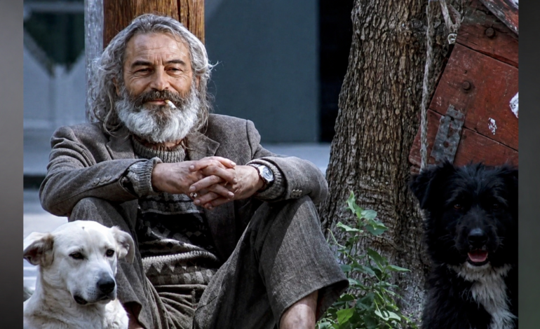 ¡’Amores Perros’ llegará a la televisión! Preparan serie basada en el icónico guion de la película