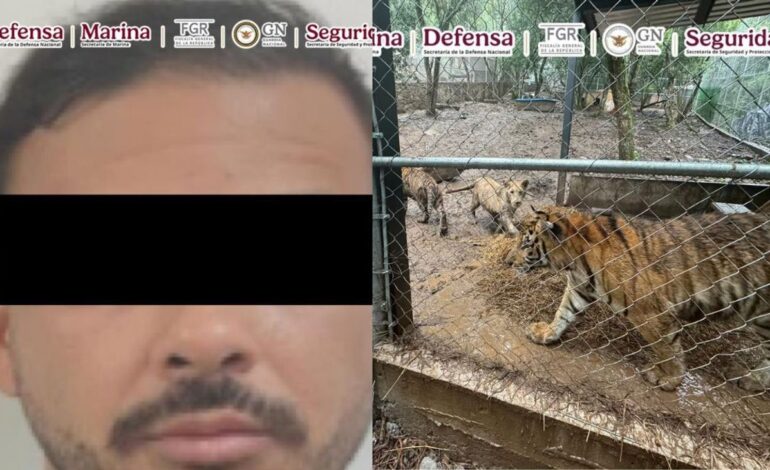  Confirma Harfuch captura de líder de célula criminal en NL